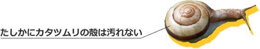 たしかにカタツムリの殻は汚れない